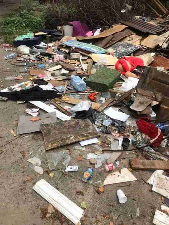 1 вересня біля сміттєзвалища: у Львові поблизу ліцею виявили купу сміття (ФОТО)