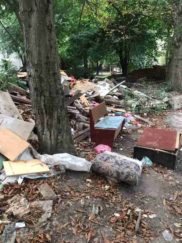 1 вересня біля сміттєзвалища: у Львові поблизу ліцею виявили купу сміття (ФОТО)