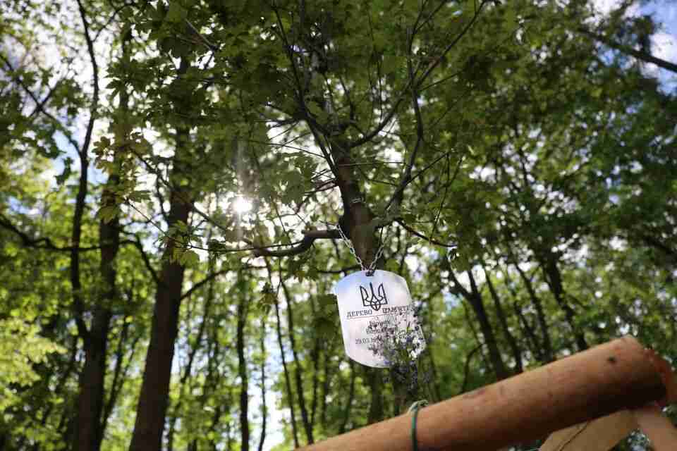 Алея пам'яті Героїв: у львівському парку родичі загиблих військових висадили дерева пам'яті (ФОТО,ВІДЕО)