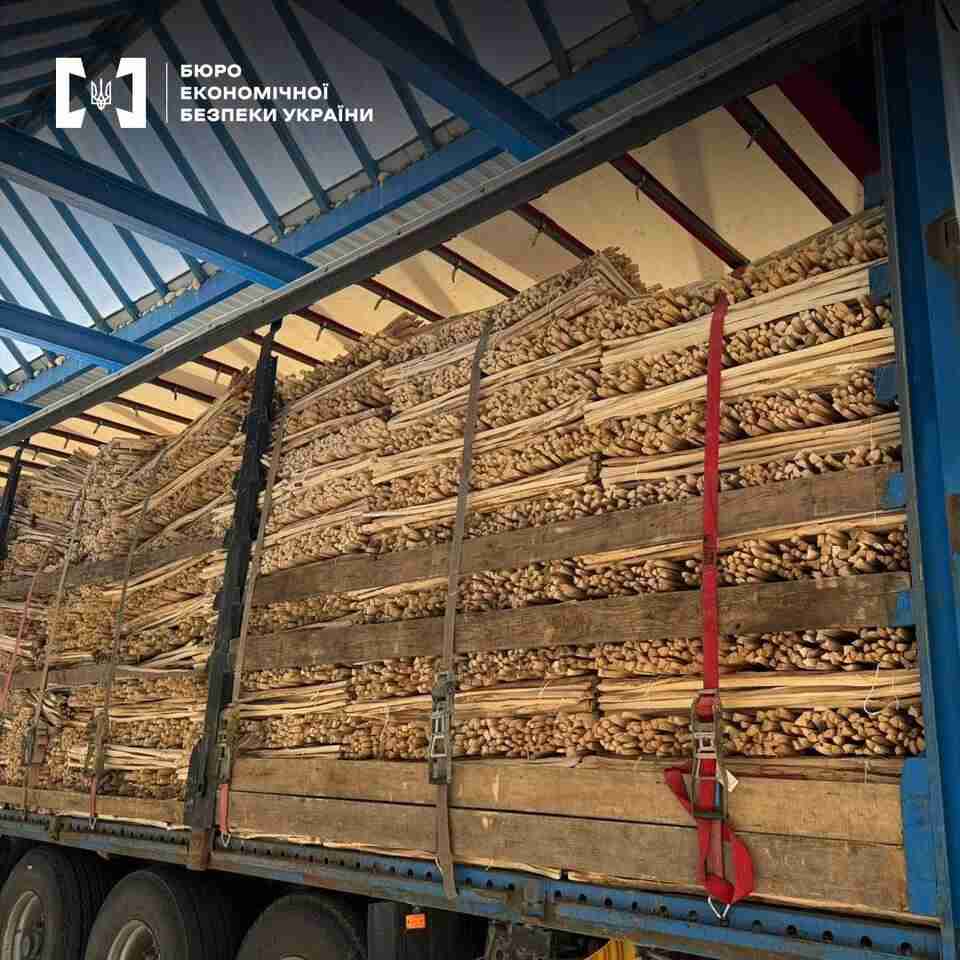 БЕБ на Львівщині викрило спробу незаконного вивезення лісоматеріалів за кордон (ФОТО)
