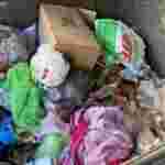 Безхатьки знайли у смітнику тіло немовля (ФОТО, ВІДЕО 18+)