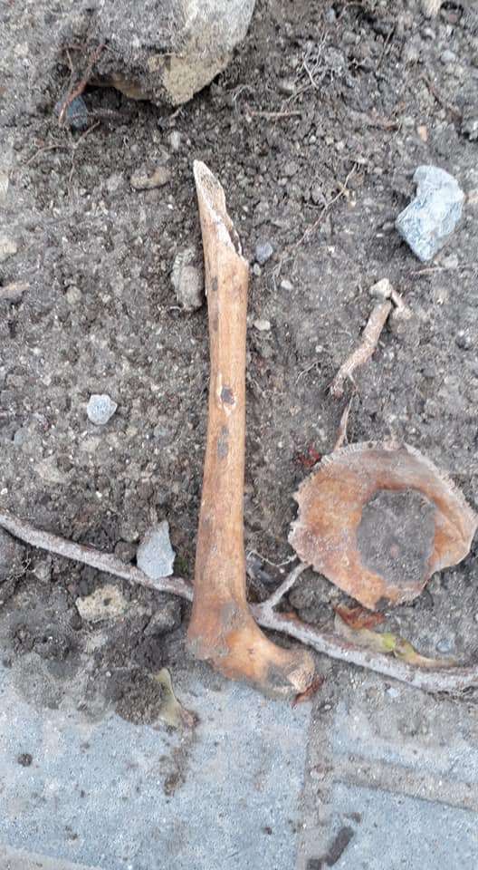 Біля військового госпіталю знайшли людські кістки (фото)