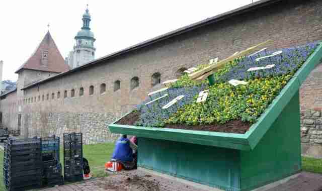 Центр Львова озеленять та заквітчають на понад 1 млн грн: що планують