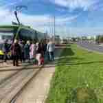 ДТП на Сихові призупинила рух трамваїв (фото)