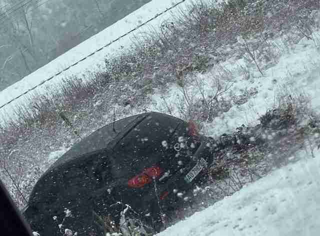 Через інтенсивний снігопад, на дорогах Закарпаття ускладнення руху транспорту (ФОТО, ВІДЕО)