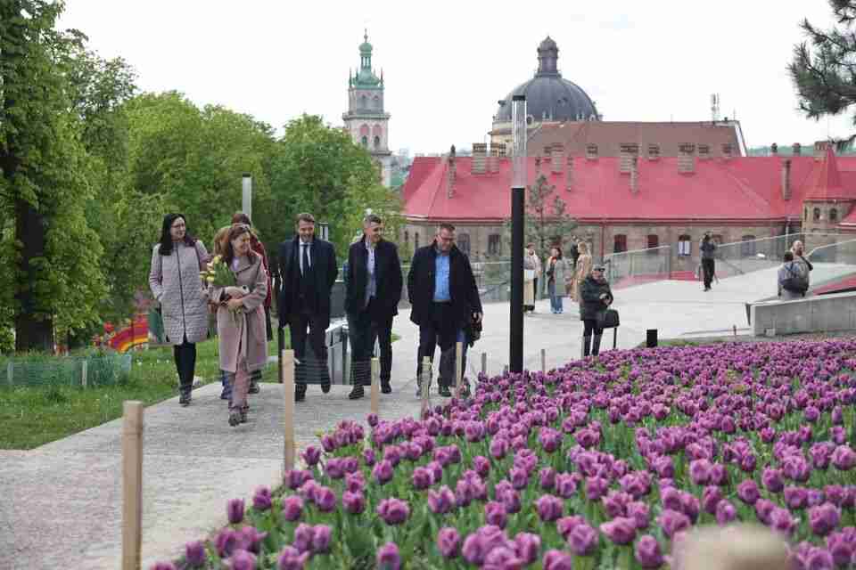 Чи побільшає тюльпанів у Львові наступного року: що відомо (ФОТО)