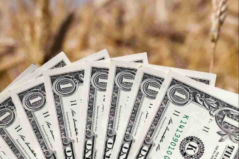 Чого очікувати від курсу долара у випадку зупинки зернового коридору