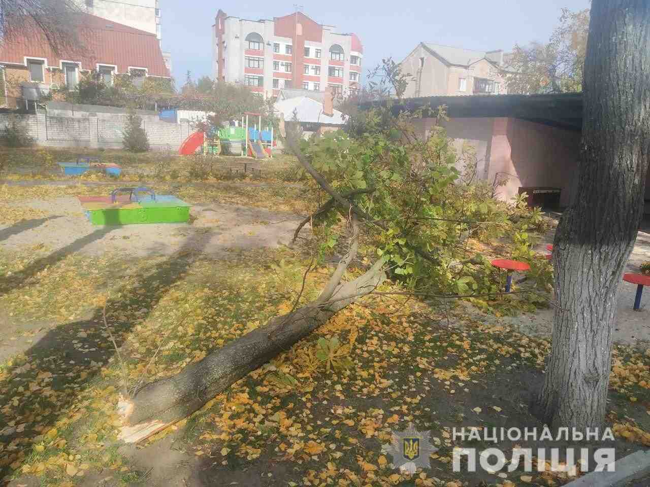 Дівчинка, на яку впало дерево на території дитячого садка, померла (ФОТО)