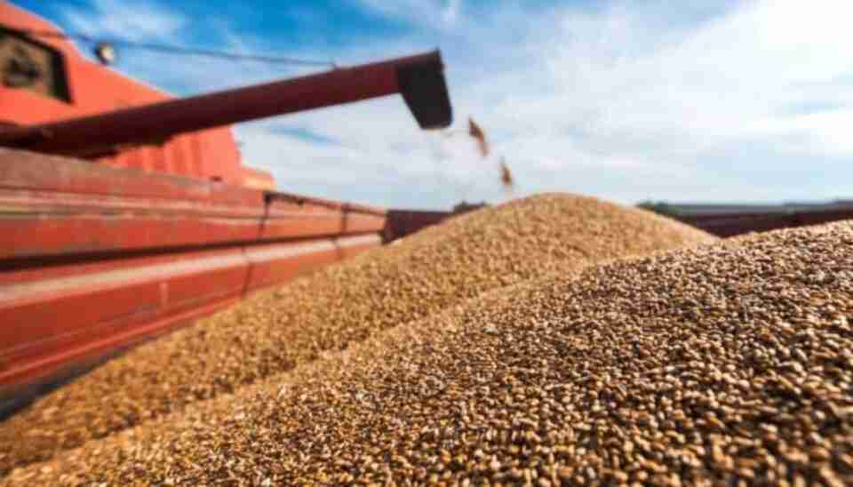 Дуда заявив, що Польща підготувала коридори для експорту українського зерна