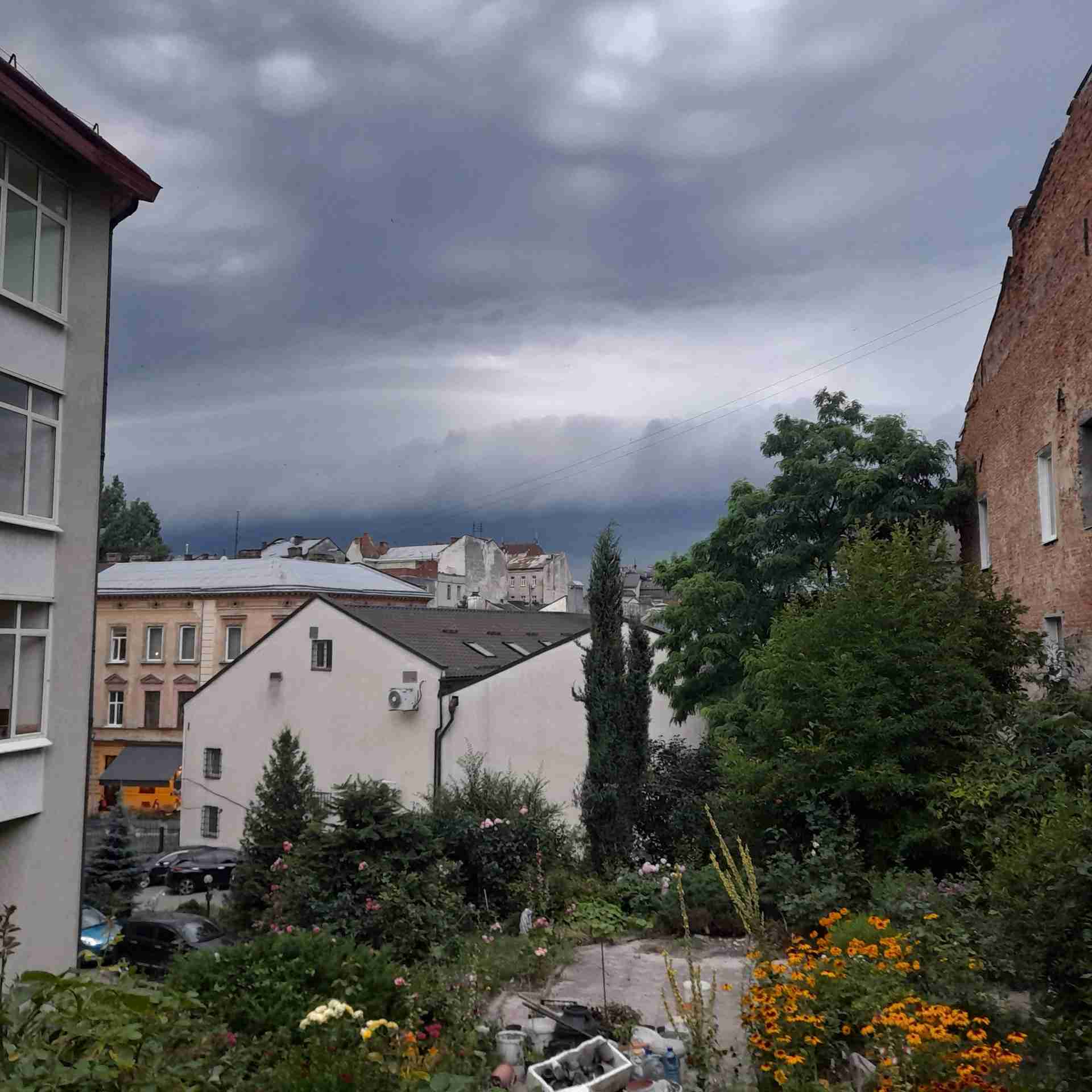 На Львівщину сунуть грози і зливи: синоптики оголосили штормове попередження на 20 липня