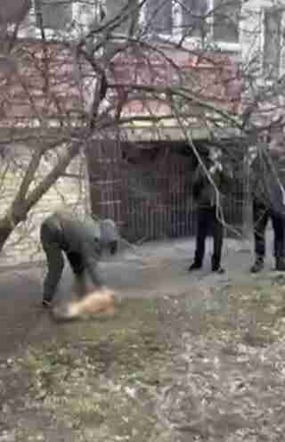 Холоднокровно вбив: на Київщині чоловік розправився з псом (ФОТО)