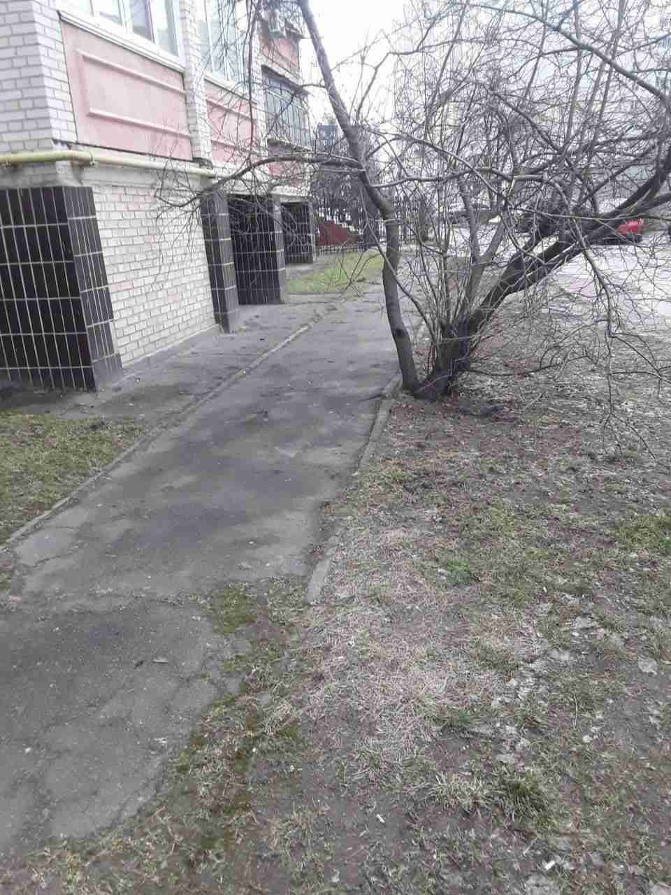 Холоднокровно вбив: на Київщині чоловік розправився з псом (ФОТО)
