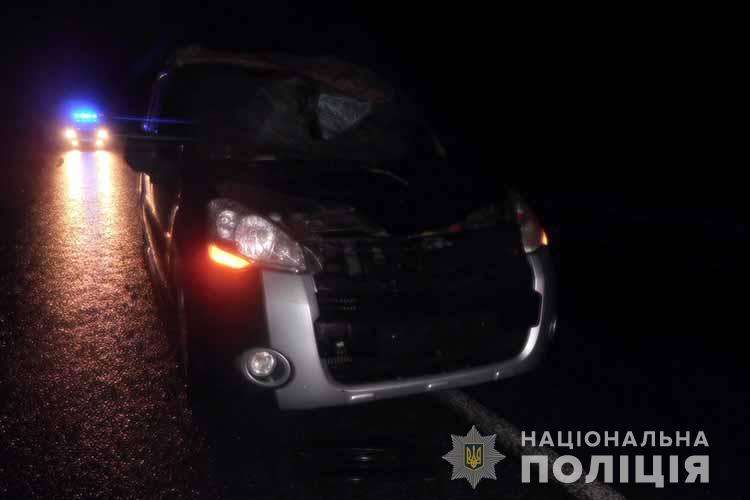 Йшов по дорозі: на Тернопільщині під колесами авто загинув 32-річний чоловік (фото)