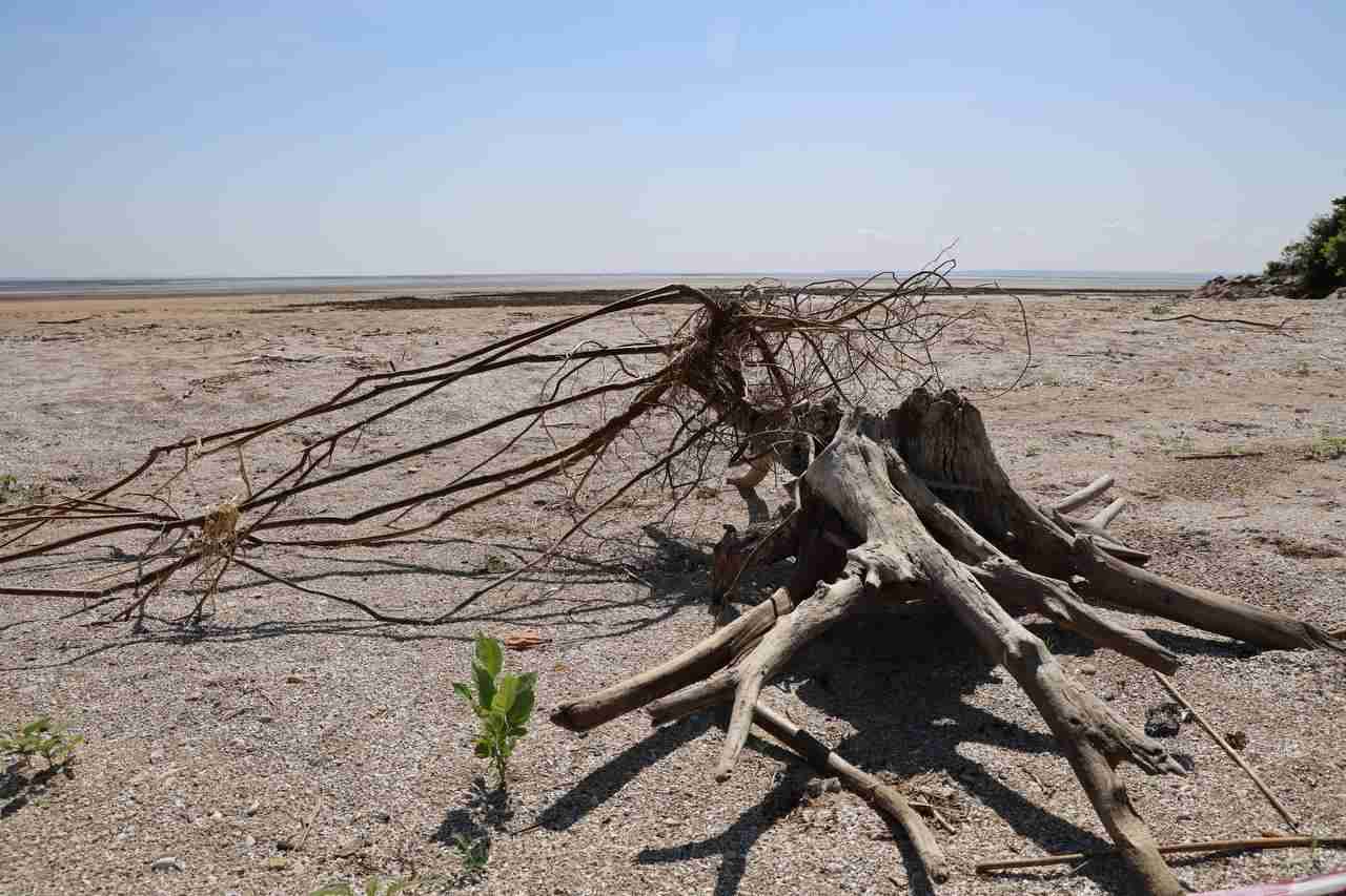 Кадри пустелі: як зараз виглядає Каховське водосховище (ФОТО)