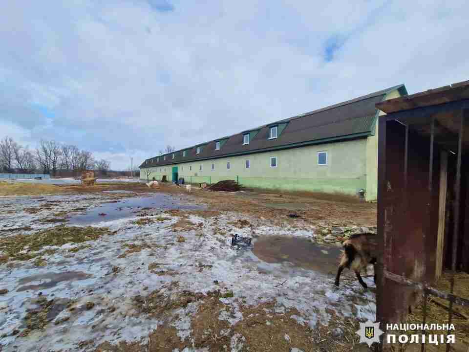 Катівня для тварин: в притулку на Київщині собаки помирали в жахливих умовах (ВІДЕО)