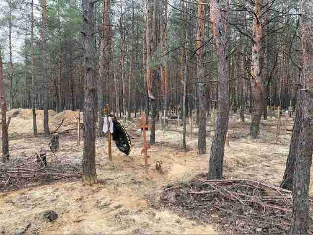 Декілька сотень тіл: у лісі біля Ізюма знайдено місце масового поховання (ФОТО)