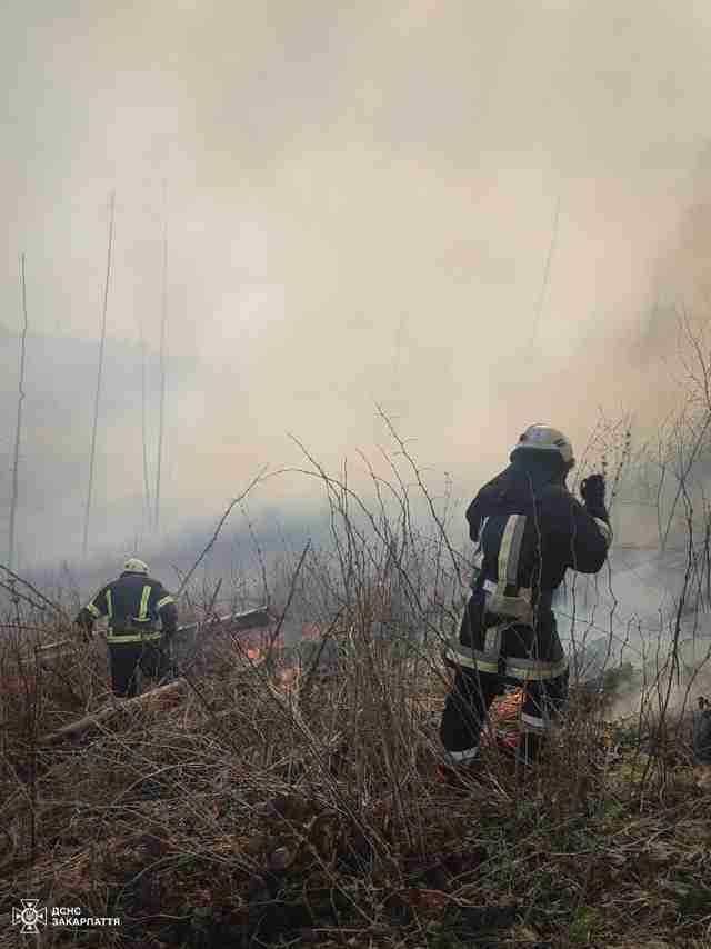 Ліквідовували шість годин: на Закарпатті виникла масштабна лісова пожежа (ФОТО/ВІДЕО)