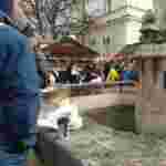 Локдаун у центрі Львова: люди їдять на фонтанах, лавках, підніжжях (фото, відео)