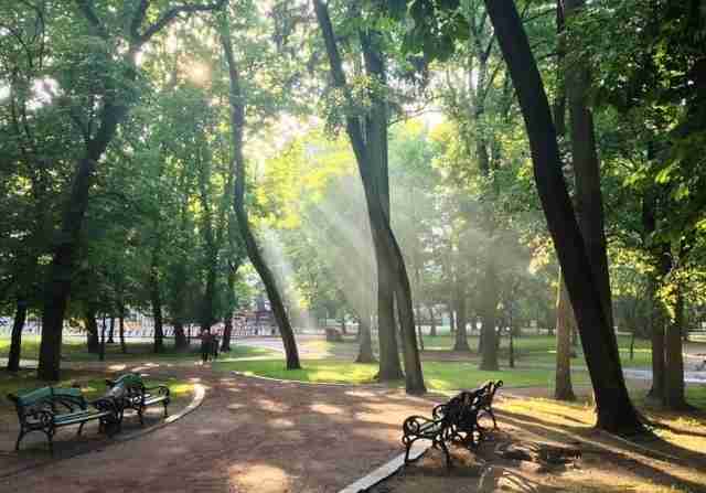 Львів'ян закликають три дні не відвідувати парки: графік