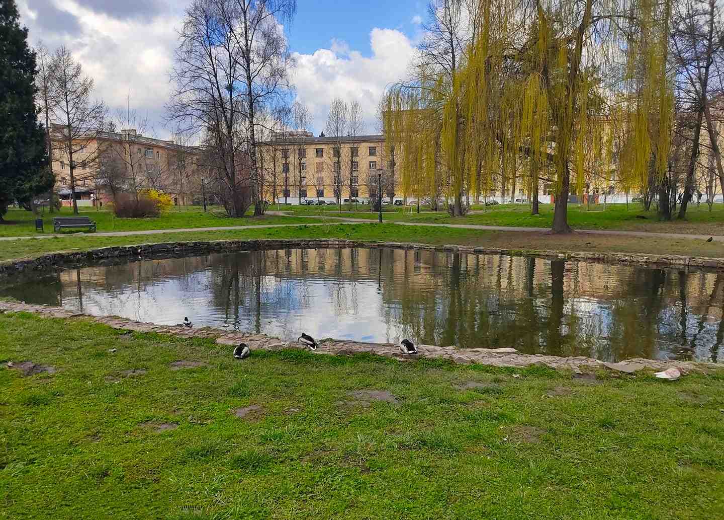 Львів’яни просять очистити озеро в парку Боднарівка (фото)