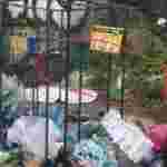 Львів’яни скаржаться на засилля щурів біля сміттєвих контейнерів (ФОТО, ВІДЕО)