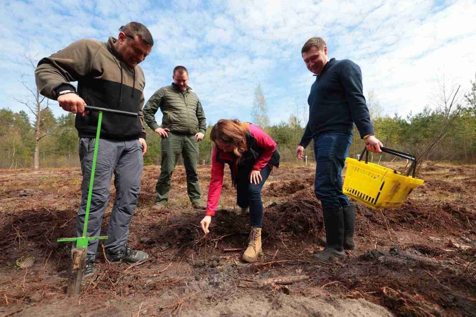 Львівська область взяла участь в масштабній благодійній акції висадки дерев (ФОТО)
