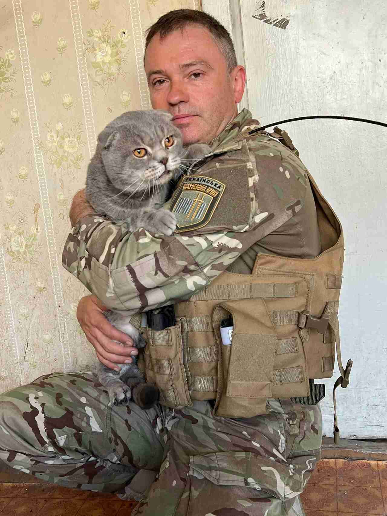 Львівські десантники шукають прихисток у мирному тилу для бойового кота із позивним «Соледар» (ФОТО)