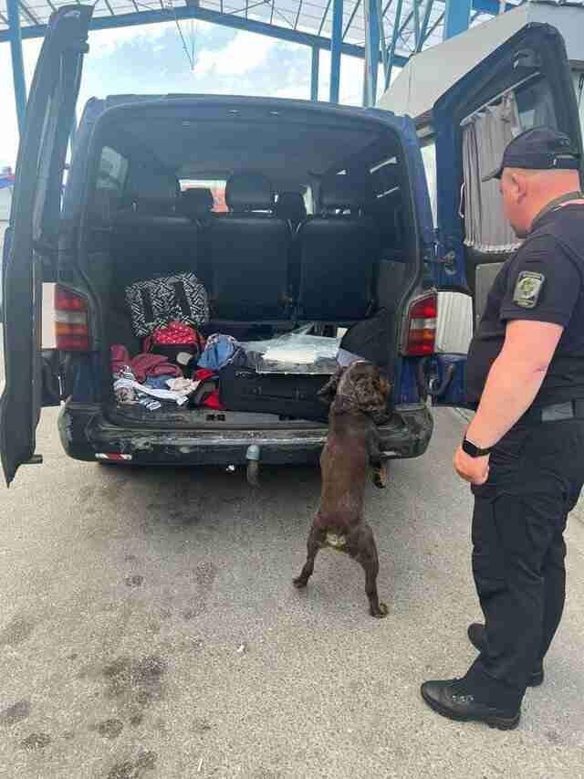 Львівський прикордонний собака виявив в авто наркотики