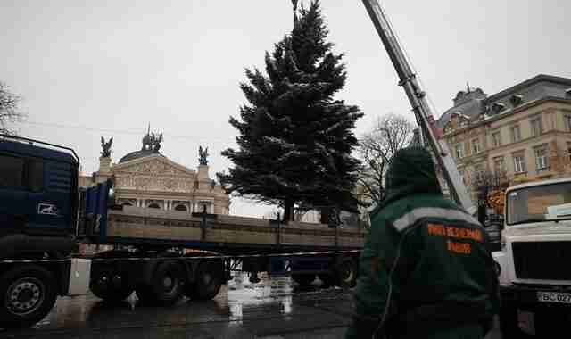 Менша і скромніша: яким буде святкове дерево у Львові (ФОТО)