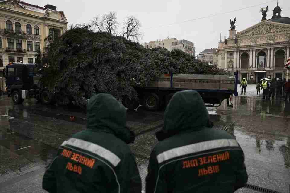 Менша і скромніша: яким буде святкове дерево у Львові (ФОТО)