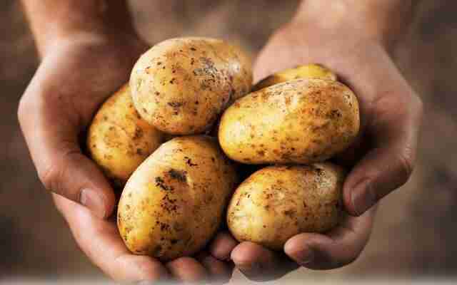 Мінюстівці вперше купили картоплю втричі дешевше за  Міноборони, - ЗМІ