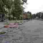 На Алеї Героїв Небесної Сотні невідомі вандали знищили клумби (фото)