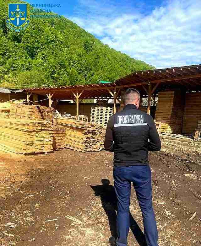 На Буковині перекрито канал контрабанди цінної деревини до країн ЄС (ФОТО)