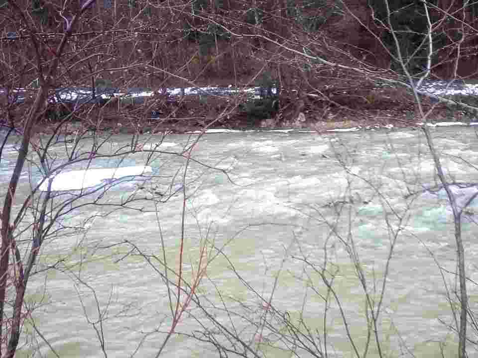 На Франківщині рятувальники дістали з річки травмованого оленя (фото)