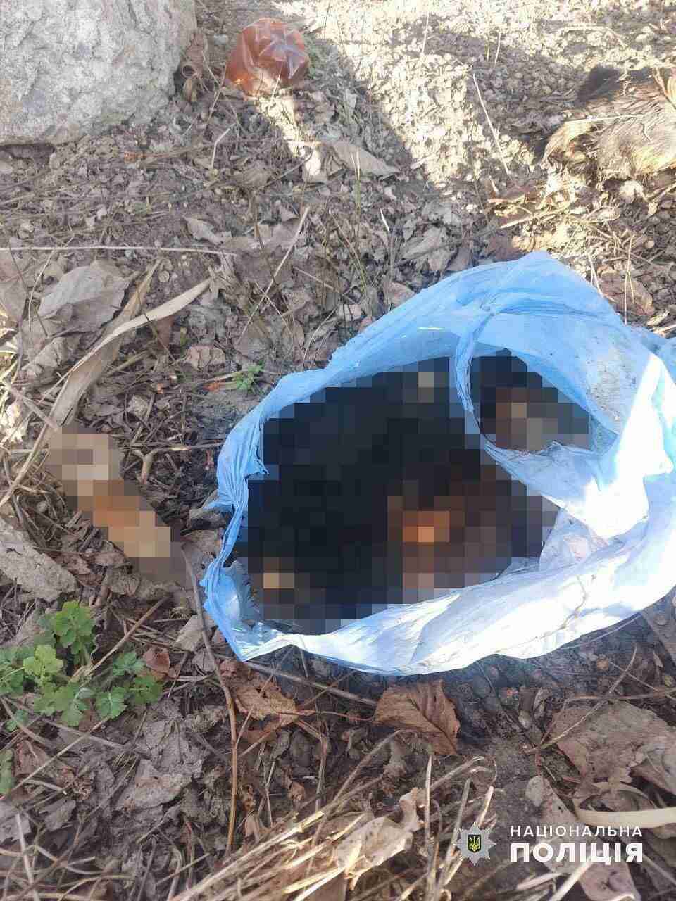 На Хмельниччині у пакеті знайдено тіло порубаної собаки