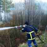 На Київщині та Житомирщині тривають масштабні лісові пожежі (фото)