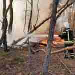 На Луганщині черговий підпал: чути вибухи, вогонь наближається до електропідстанцій