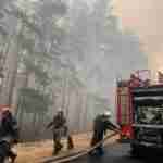 На Луганщині вирують сильні лісові пожежі (фото)