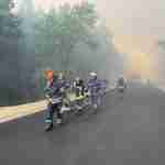 На Луганщині вирують сильні лісові пожежі (фото)