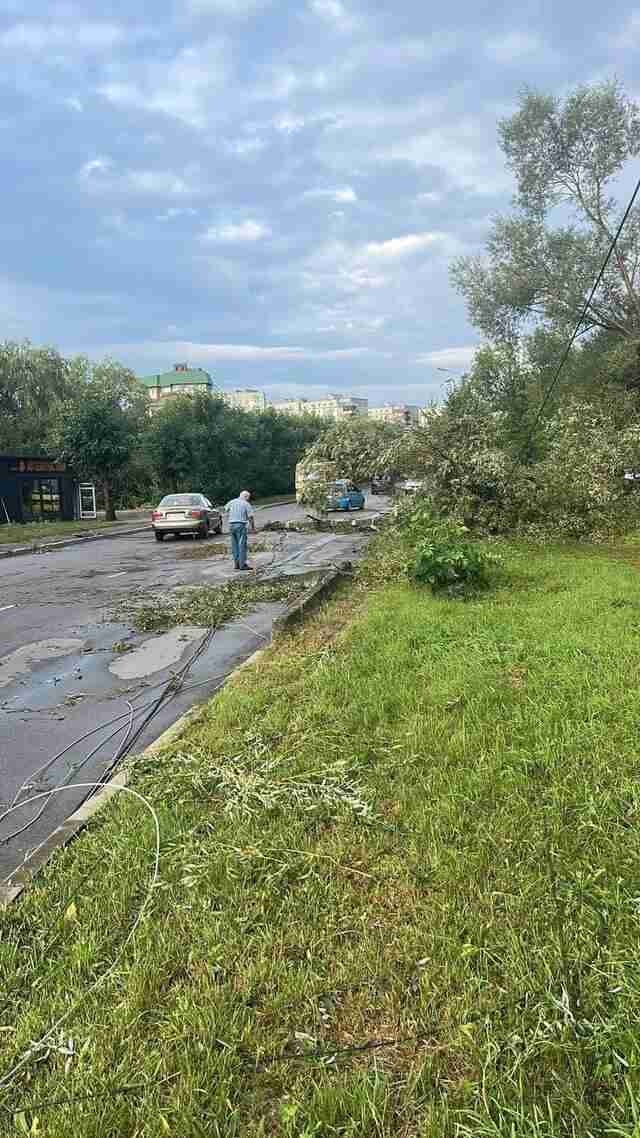 На Львівщині через негоду дерева попадали  на дороги, у містах зривало дахи на багатоповерхівках (ФОТО, ВІДЕО)