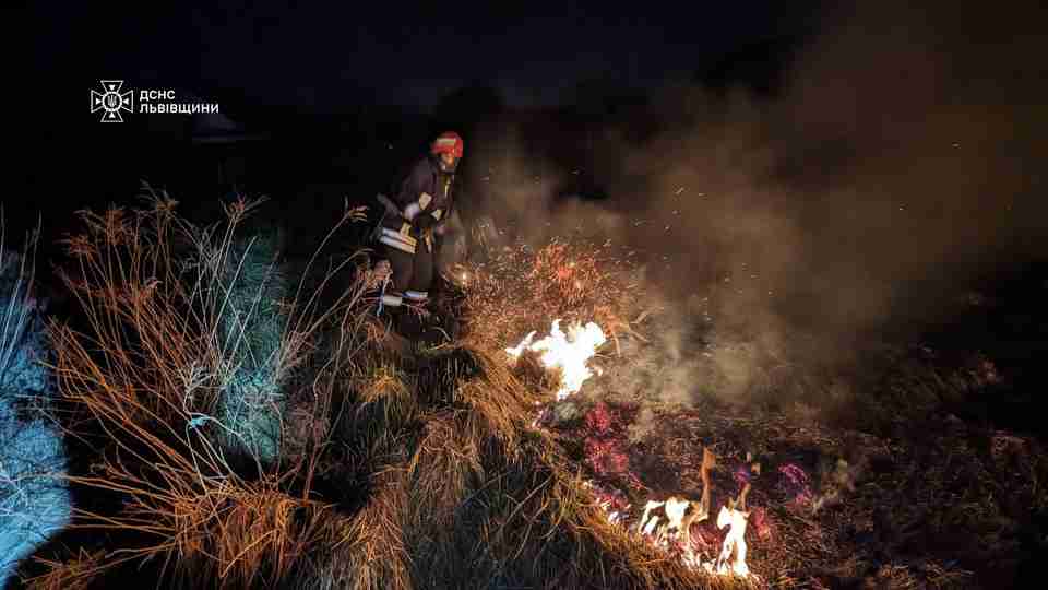 На Львівщині через пожежі живцем згоріли звірі і птахи (ФОТО)