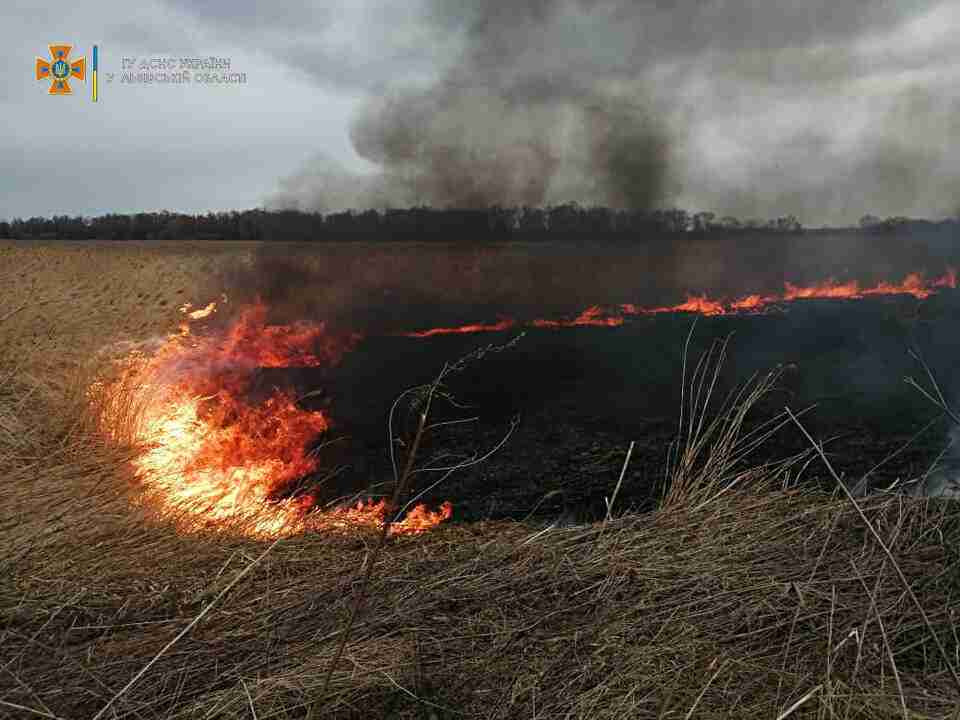 На Львівщині двоє осіб отримали опіки через пожежі сухостою