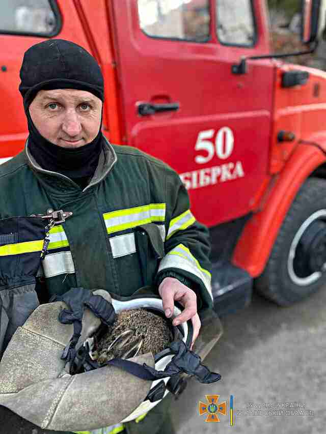 На Львівщині пожежники витягли з вогню зайченя (ФОТО)