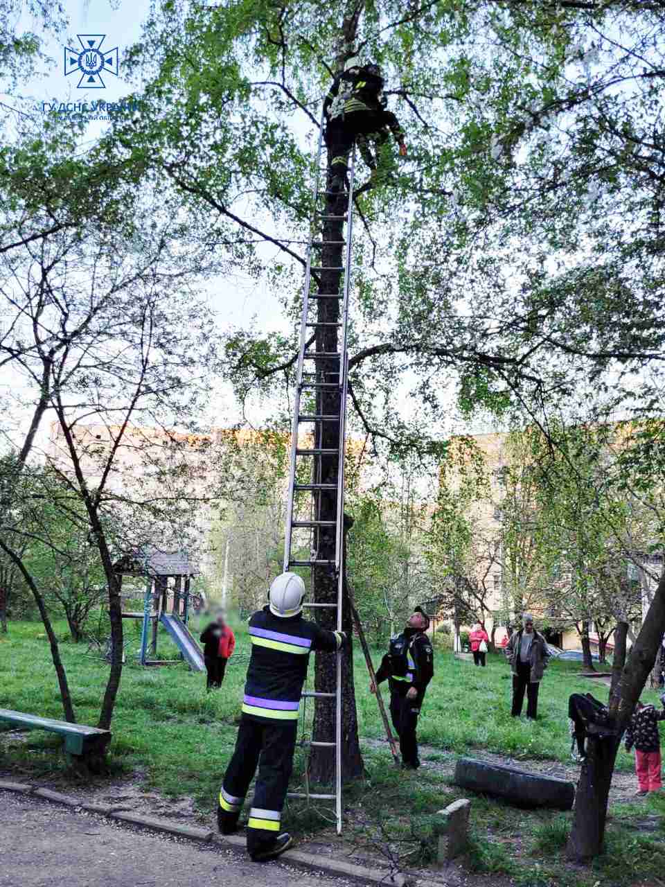На Львівщині рятувальники знімали дитину з дерева (ФОТО)