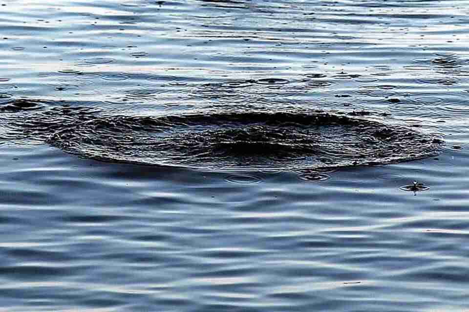 На Львівщині в річці Дністер потонув чоловік