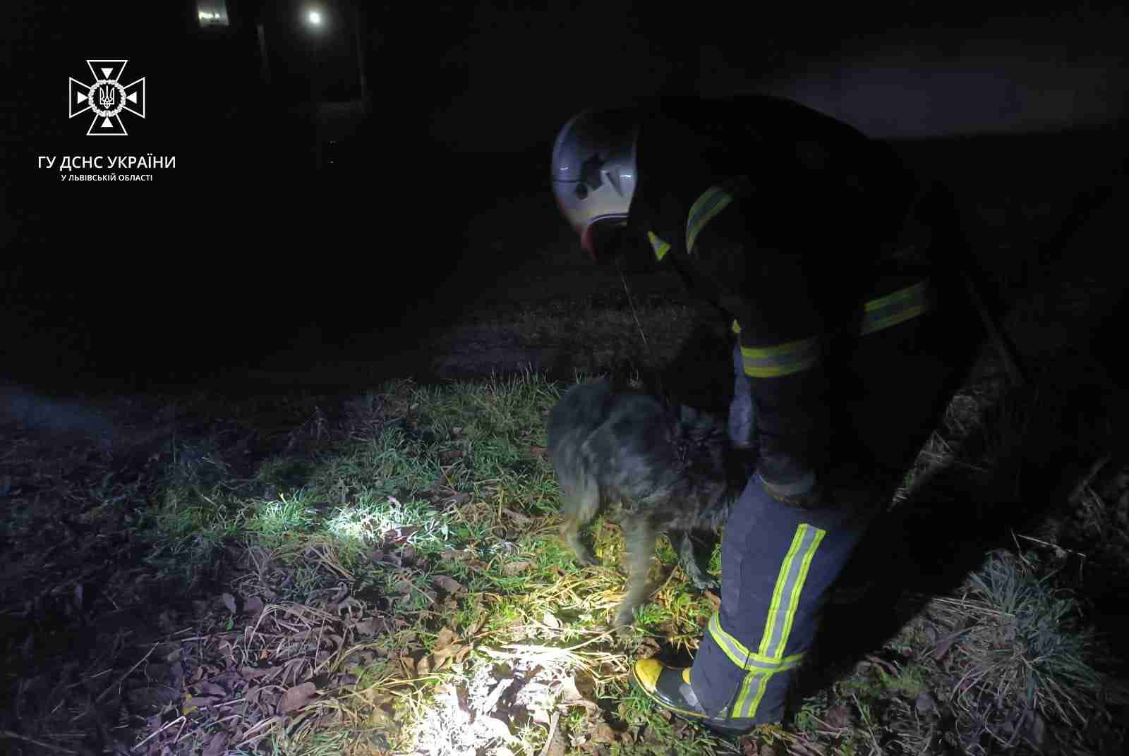На Львівщині врятували собаку, який потрапив у халепу (ФОТО)
