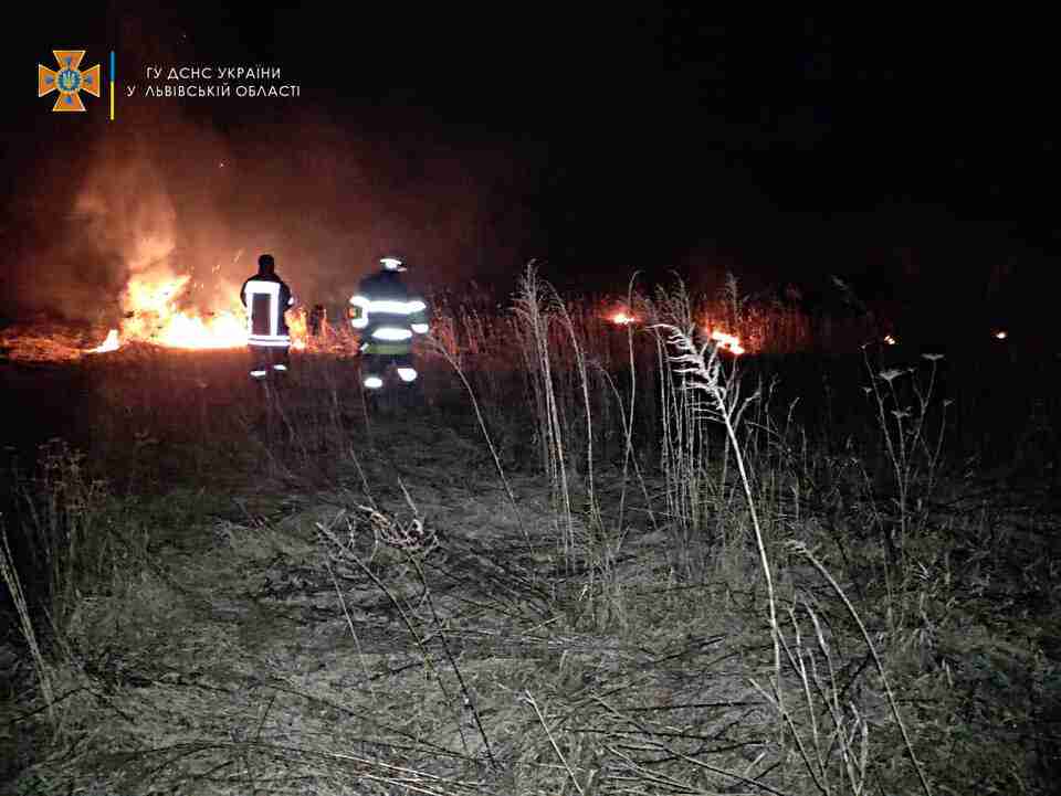 На Львівщині за добу згоріло понад 22 га сухостою