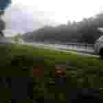На Львівщині автомобіль злетів з дороги, постраждали двоє підлітків (фото)