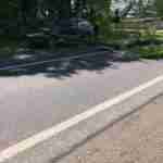 На Львівщині дерево впало на автомобіль і заблокувало рух (фото)