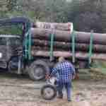 На Львівщині екс-працівник лісгоспу незаконно вирубував дерева (фото)